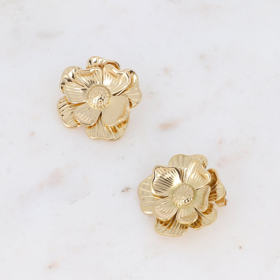 Boucles Anaïs